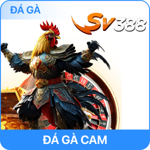 da ga go8